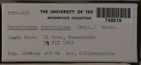 Image Associated With the Occurence